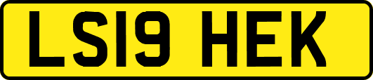 LS19HEK