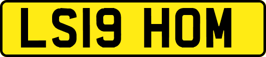 LS19HOM