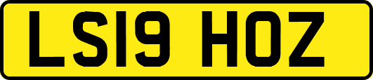 LS19HOZ