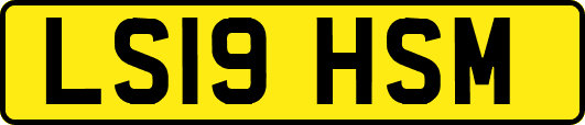 LS19HSM