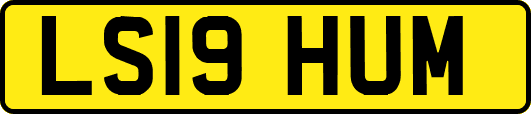 LS19HUM