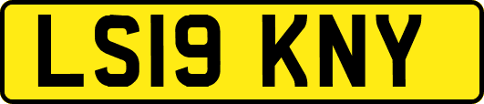 LS19KNY