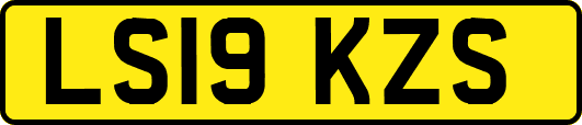 LS19KZS