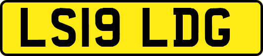 LS19LDG