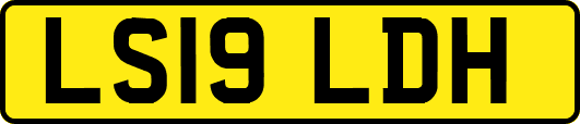 LS19LDH