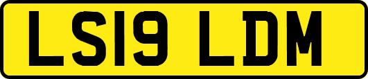 LS19LDM