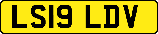 LS19LDV