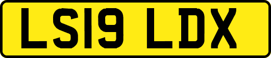 LS19LDX