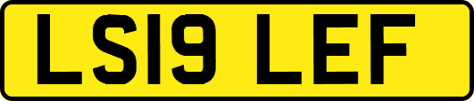 LS19LEF