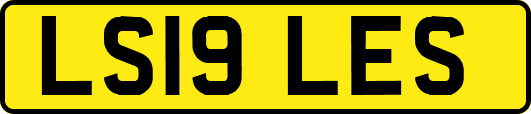 LS19LES