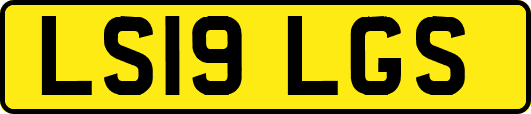 LS19LGS