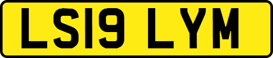 LS19LYM