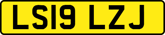 LS19LZJ