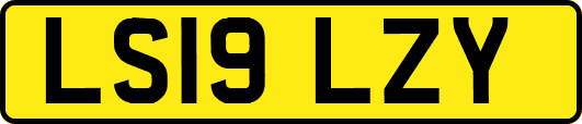 LS19LZY
