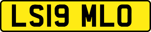 LS19MLO