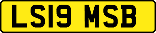 LS19MSB