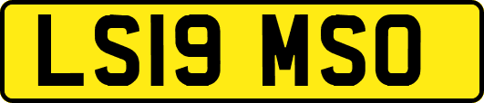LS19MSO