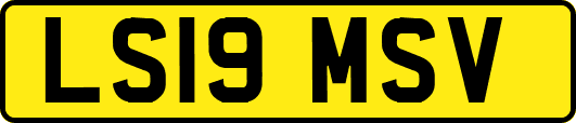 LS19MSV