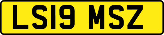 LS19MSZ