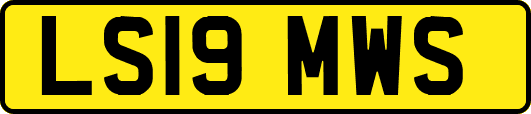 LS19MWS