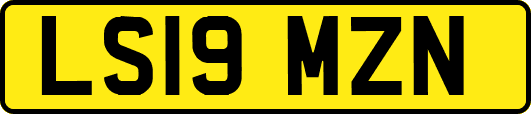 LS19MZN