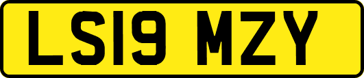 LS19MZY