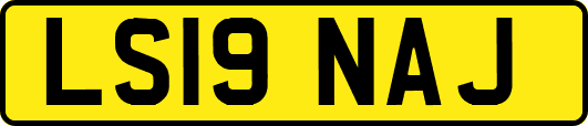 LS19NAJ