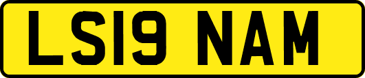 LS19NAM
