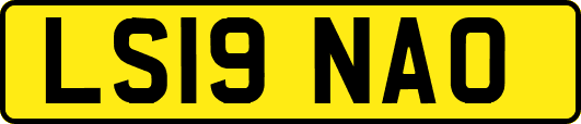 LS19NAO
