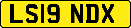 LS19NDX