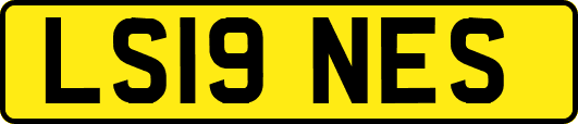 LS19NES