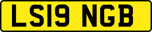 LS19NGB