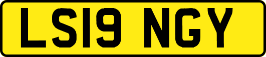 LS19NGY
