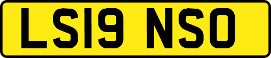 LS19NSO