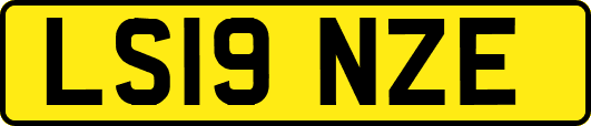 LS19NZE