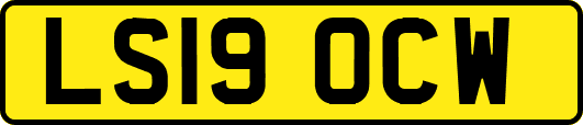 LS19OCW