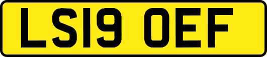 LS19OEF