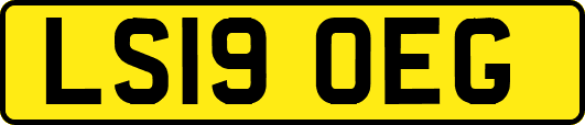 LS19OEG