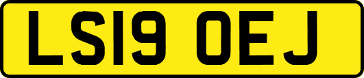 LS19OEJ