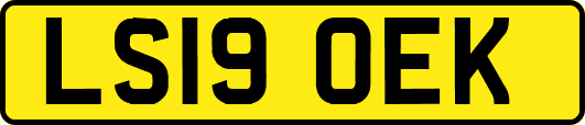 LS19OEK