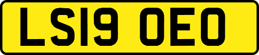 LS19OEO