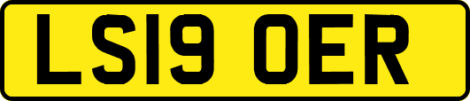 LS19OER