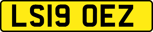 LS19OEZ