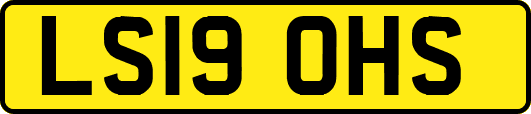 LS19OHS