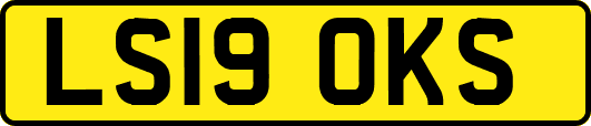 LS19OKS