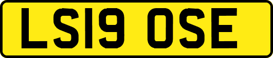 LS19OSE