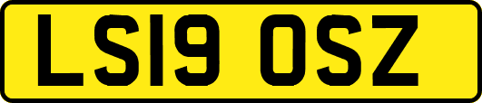 LS19OSZ