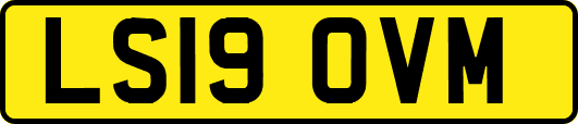 LS19OVM