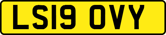 LS19OVY