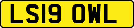 LS19OWL